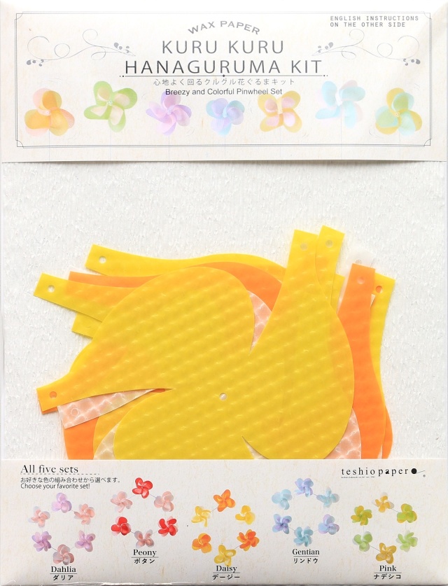 花ぐるま6個入り デージー