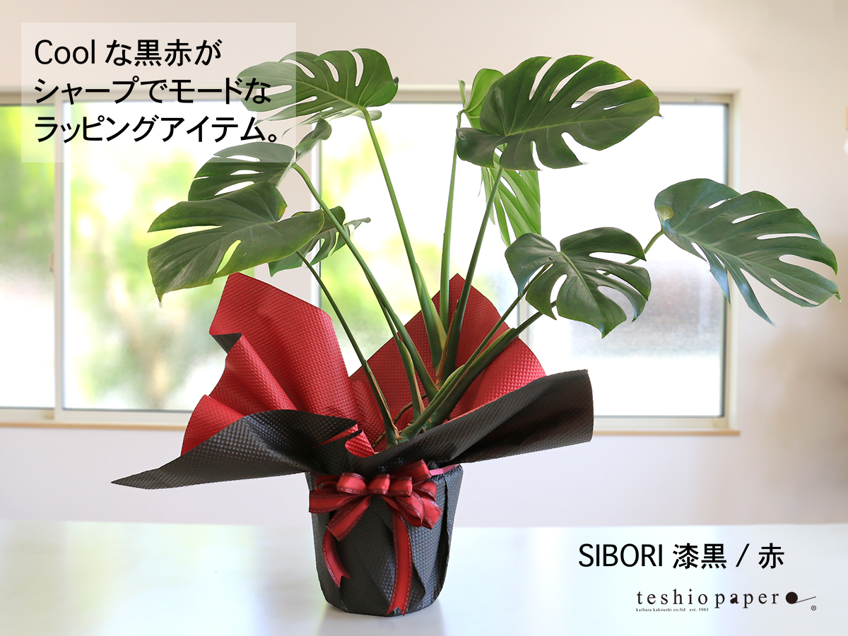 SIBORI ｼｯｺｸ/ｱｶ 使用例3