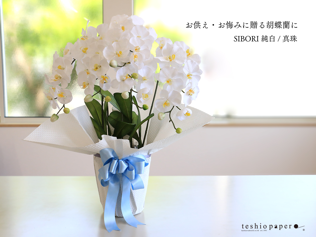 SIBORI ジュンパク/シンジュ使用例7